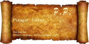 Pungor Péter névjegykártya