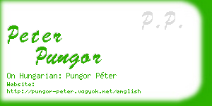 peter pungor business card